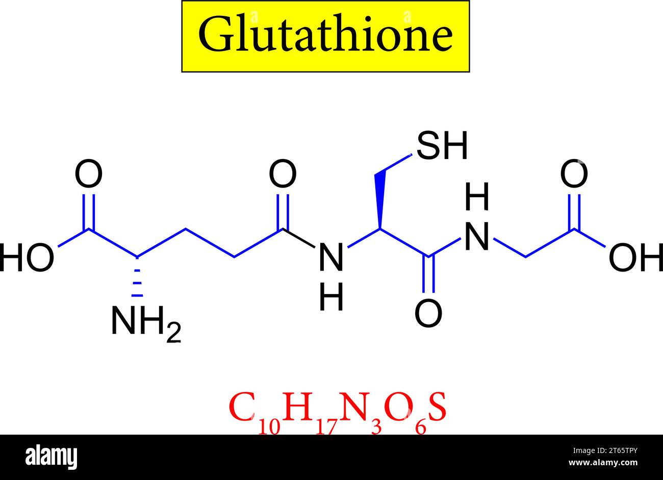 Struttura del glutatione, formula .illustrazione vettoriale Illustrazione Vettoriale
