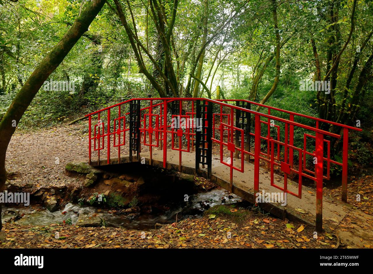 Splendidi colori autunnali e l'attraente ponte in stile orientale a Cefn Onn / Parc Cefn Onn, Lisvane, Cardiff. Presa nel novembre 2023. Autunno. Acer japonica Foto Stock