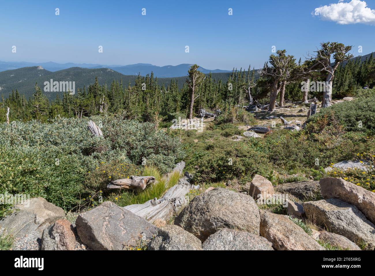 Massi e una varietà di grandi rocce su una montagna nelle Montagne Rocciose del Colorado Foto Stock
