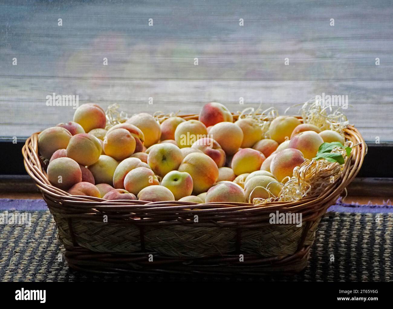Cesto di pesche appena raccolto in Michigan. Foto Stock