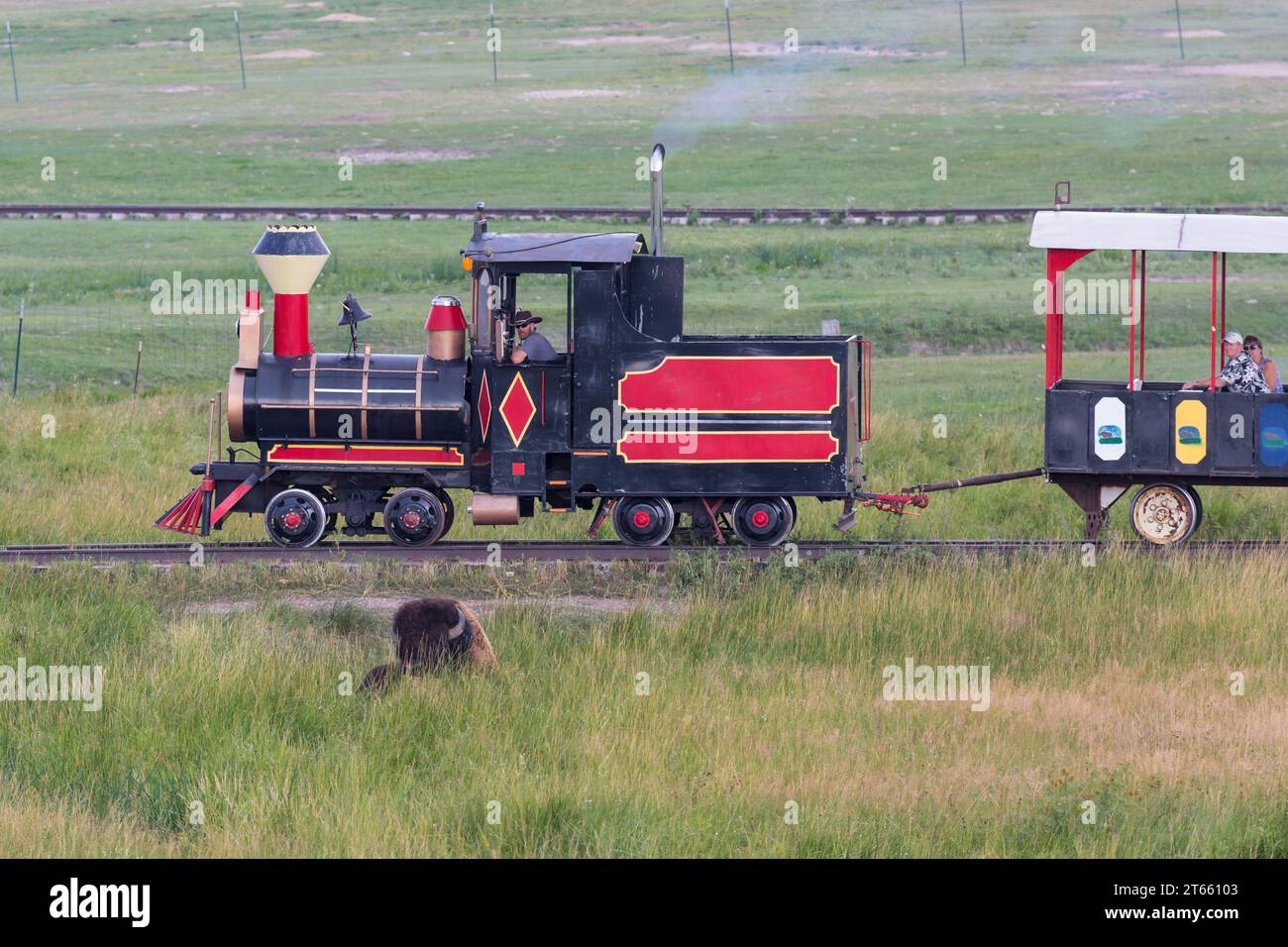 Treno costruito su misura per portare i visitatori attraverso il pascolo dove i bisonti vagano al Terry Bison Ranch vicino a Cheyenne, Wyoming Foto Stock