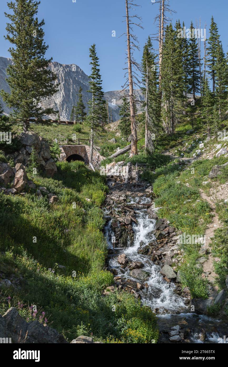 L'acqua scorre su un tratto di roccia all'estremità sud del lago Marie nell'area della catena montuosa di Medicine Bow National Forest, Wyoming Foto Stock