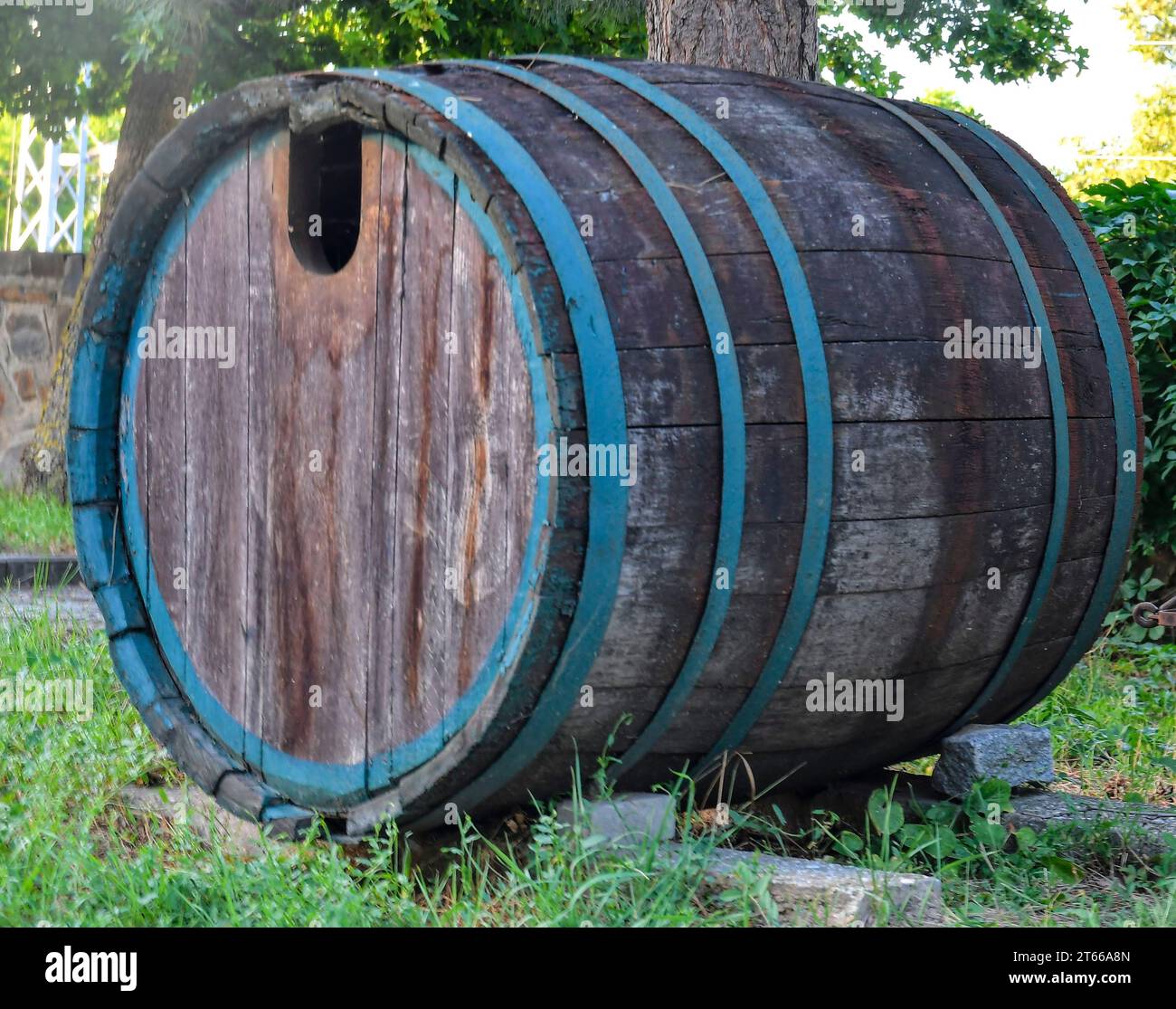 Concetto retrò della vinificazione e dei bei vecchi tempi. Una vecchia botte di vino di fronte alla cantina. Il concetto di vinificazione e vinificazione biologica Foto Stock