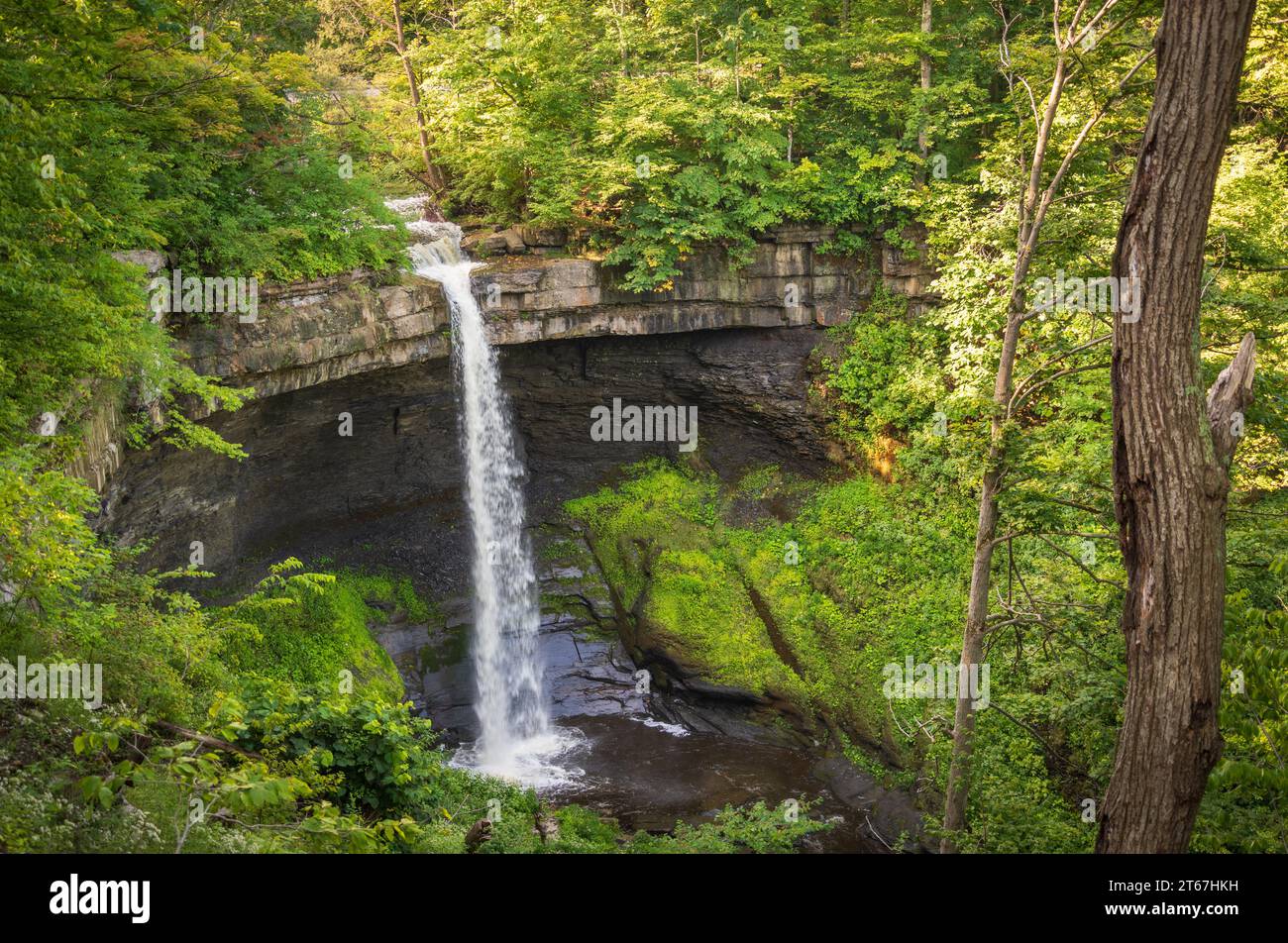 Le Finger Lakes' Carpenter Falls nella parte settentrionale dello stato di New York Foto Stock