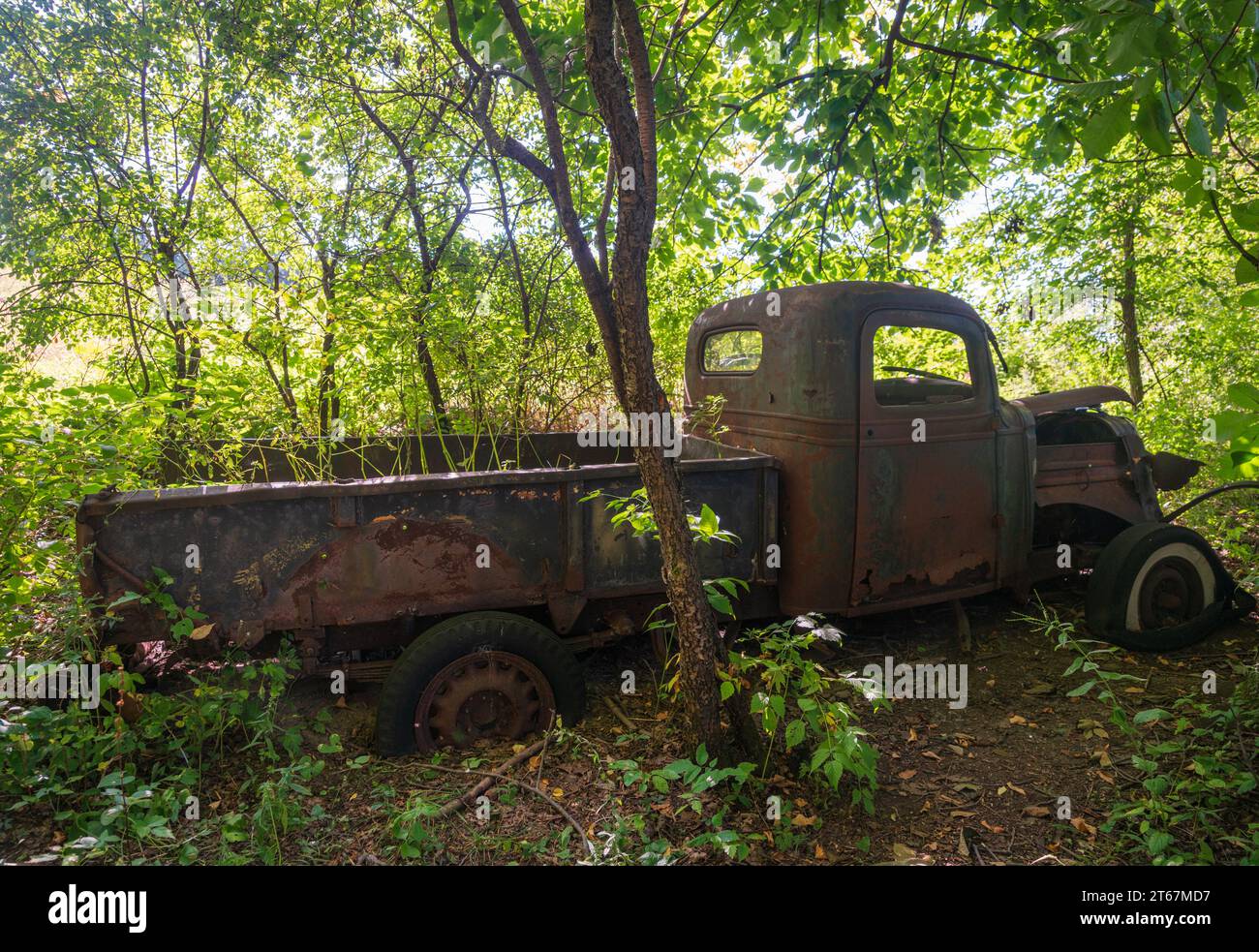 Un camion abbandonato alla Hinchcliff Family Preserve, nella parte settentrionale dello stato di New York Foto Stock
