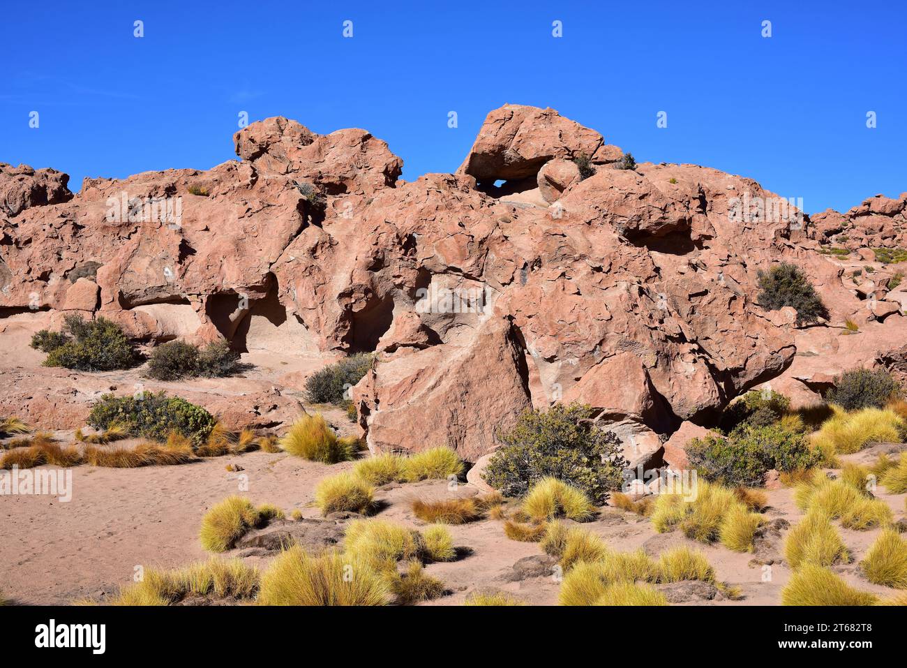 Resistenza termica alle intemperie (esfoliazione). Deserto di Atacama, Cile. Foto Stock