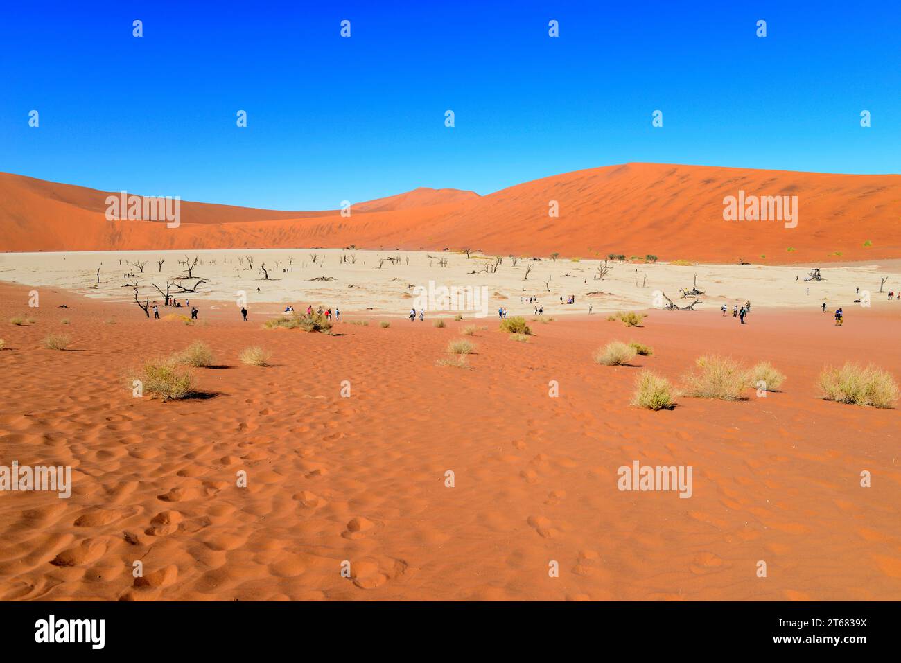 Deserto del Namib. Dune e Deadvlei o Dead Vlei (padella di argilla bianca). Namibia. Foto Stock