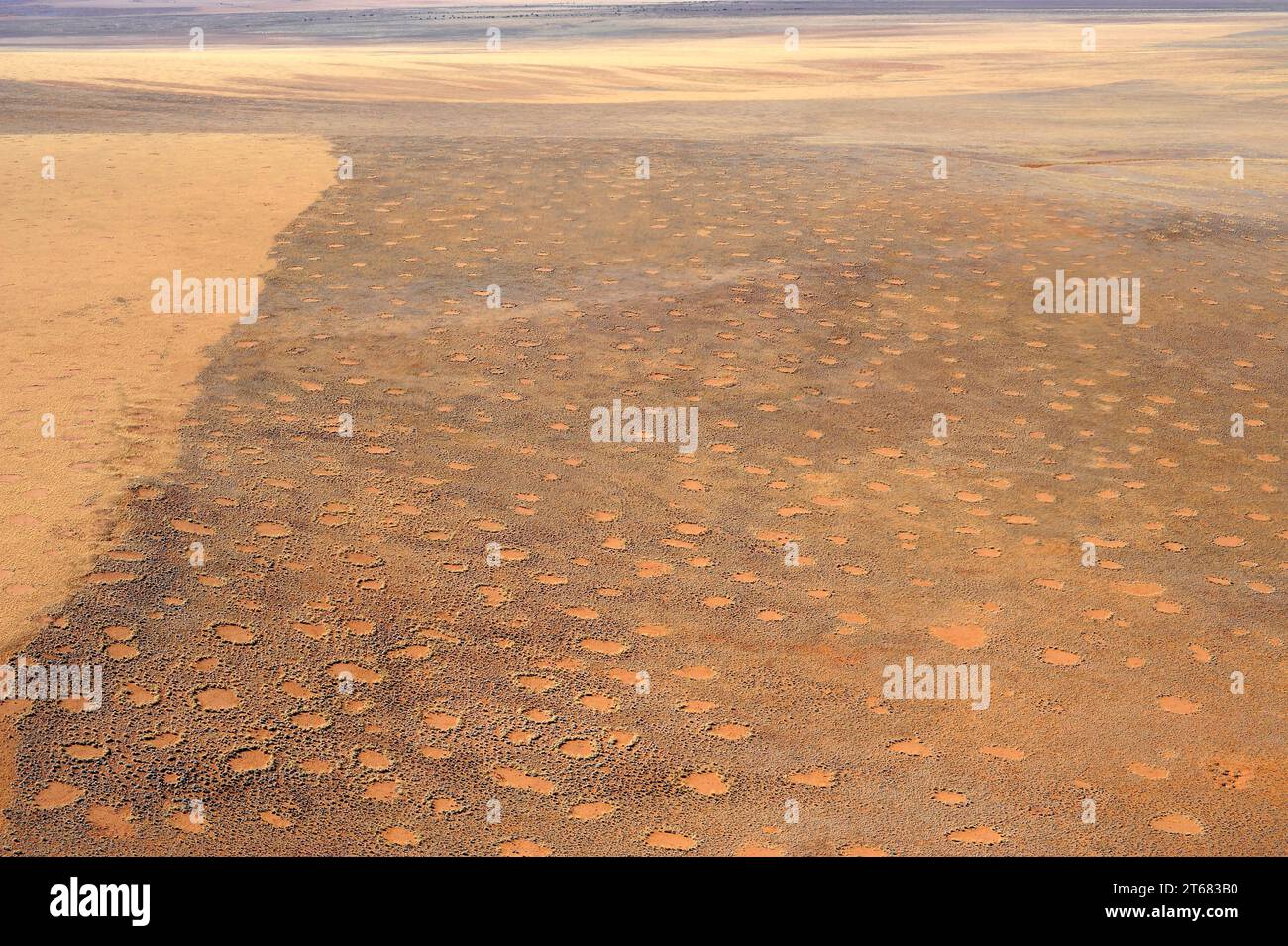 Gli anelli delle fate o i cerchi delle fate vedono dall'alto. Deserto del Namib, Namibia. Foto Stock