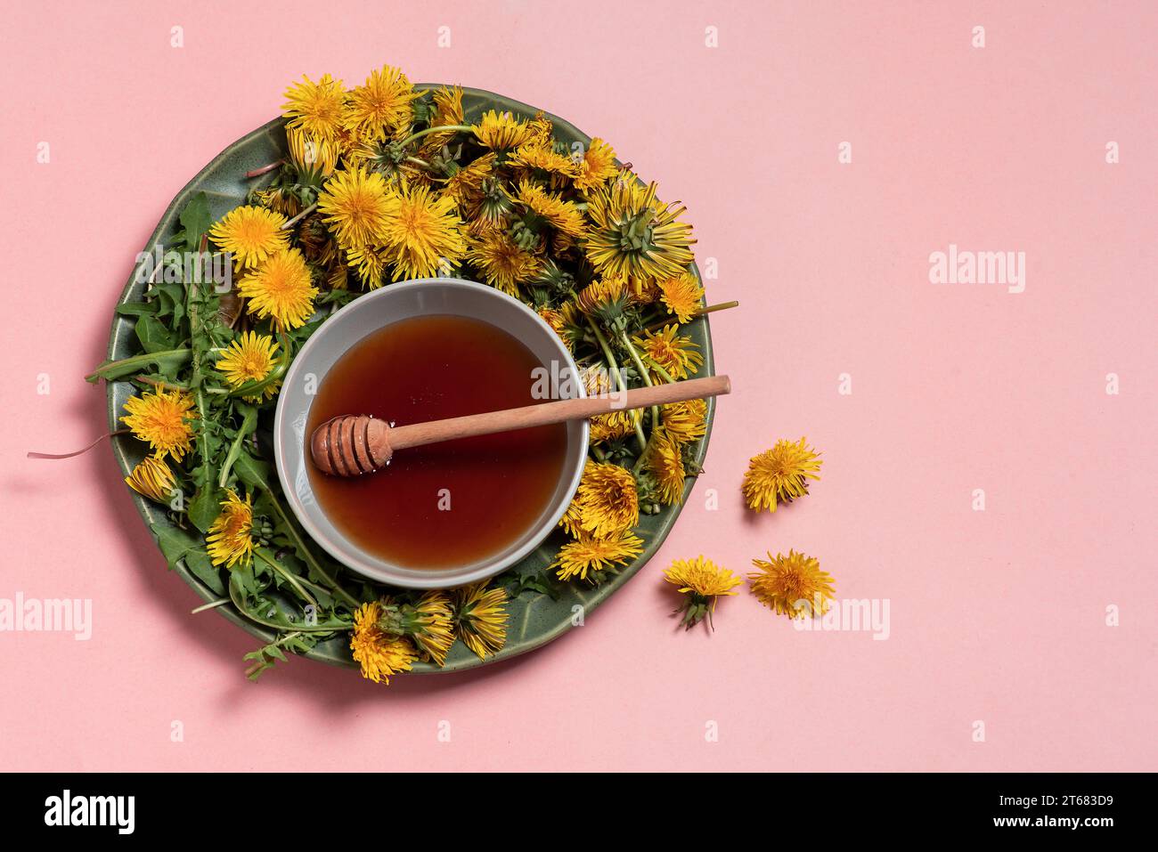 Miele di tarassino sano in una piccola ciotola bianca e fiori e foglie di tarassino fresco intorno, su sfondo rosa chiaro. Con spazio di copia Foto Stock