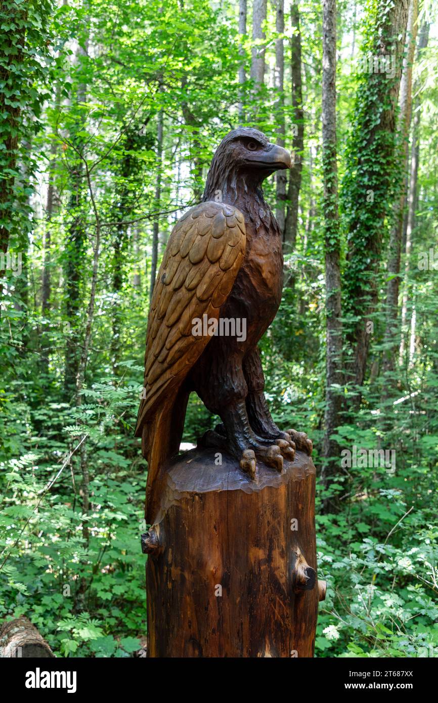 Un percorso artistico, con sculture di animali di Andrew Lyons provenienti da una sequoia, esiste all'interno della foresta di Hanmer Springs. Si tratta di una bella passeggiata, ideale per chi vuole andare a piedi Foto Stock