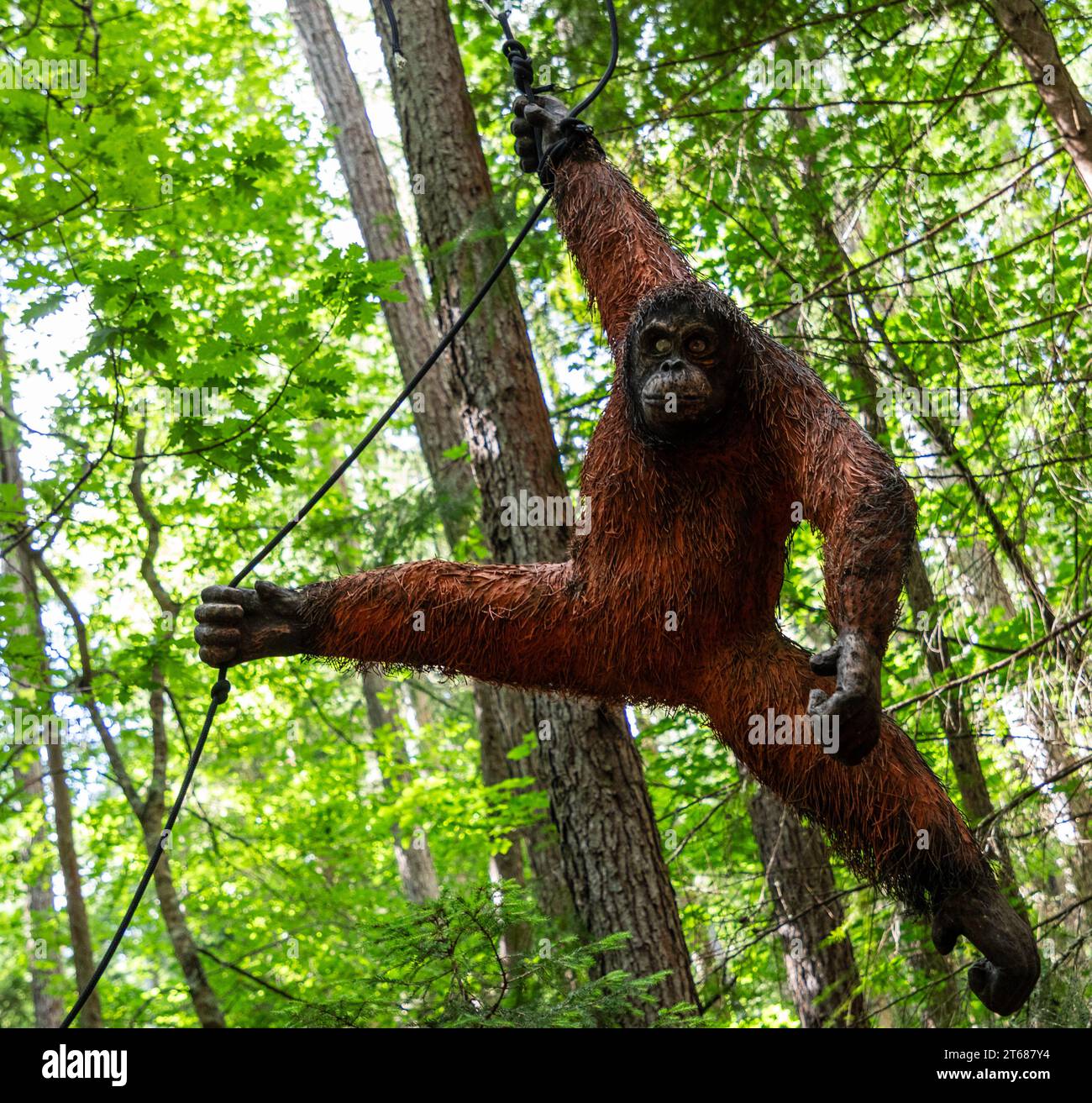 Un percorso artistico, con sculture di animali di Andrew Lyons provenienti da una sequoia, esiste all'interno della foresta di Hanmer Springs. Si tratta di una bella passeggiata, ideale per chi vuole andare a piedi Foto Stock