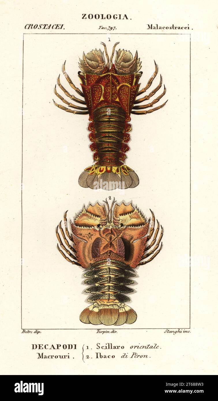 Aragosta con pantofola, Thenus orientalis 1 e aragosta a ventaglio, Ibacus peronii 2. Scillaro orientale, Ibaco di Peron. Incisione a capriolo a mano del Dizionario delle scienze naturali di Antoine Laurent de Jussieu, Dictionary of Natural Science, Firenze, Italia, 1837. Illustrazione incisa da Stanhi, disegnata da Jean Gabriel Pretre e diretta da Pierre Jean-Francois Turpin, e pubblicata da Batelli e figli. Turpin (1775-1840) è considerato uno dei più grandi illustratori botanici francesi del XIX secolo. Foto Stock
