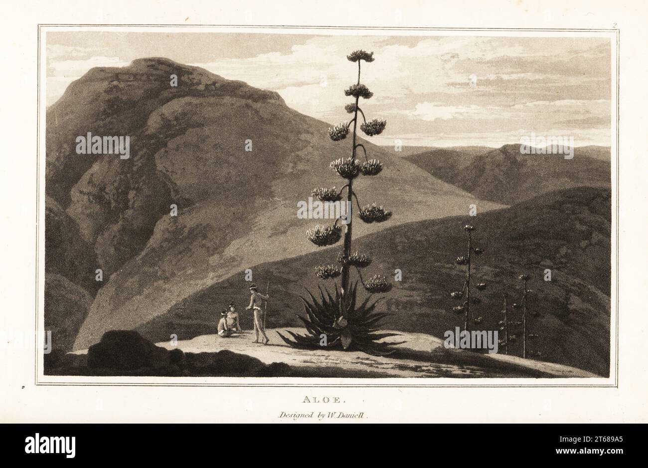 Aloe americano, Agave americana, che cresce nelle pianure con tre nativi americani accanto. Acquatinta disegnata e incisa da William Daniell da William Woods Zoography, Cadell and Davies, 1807. Foto Stock