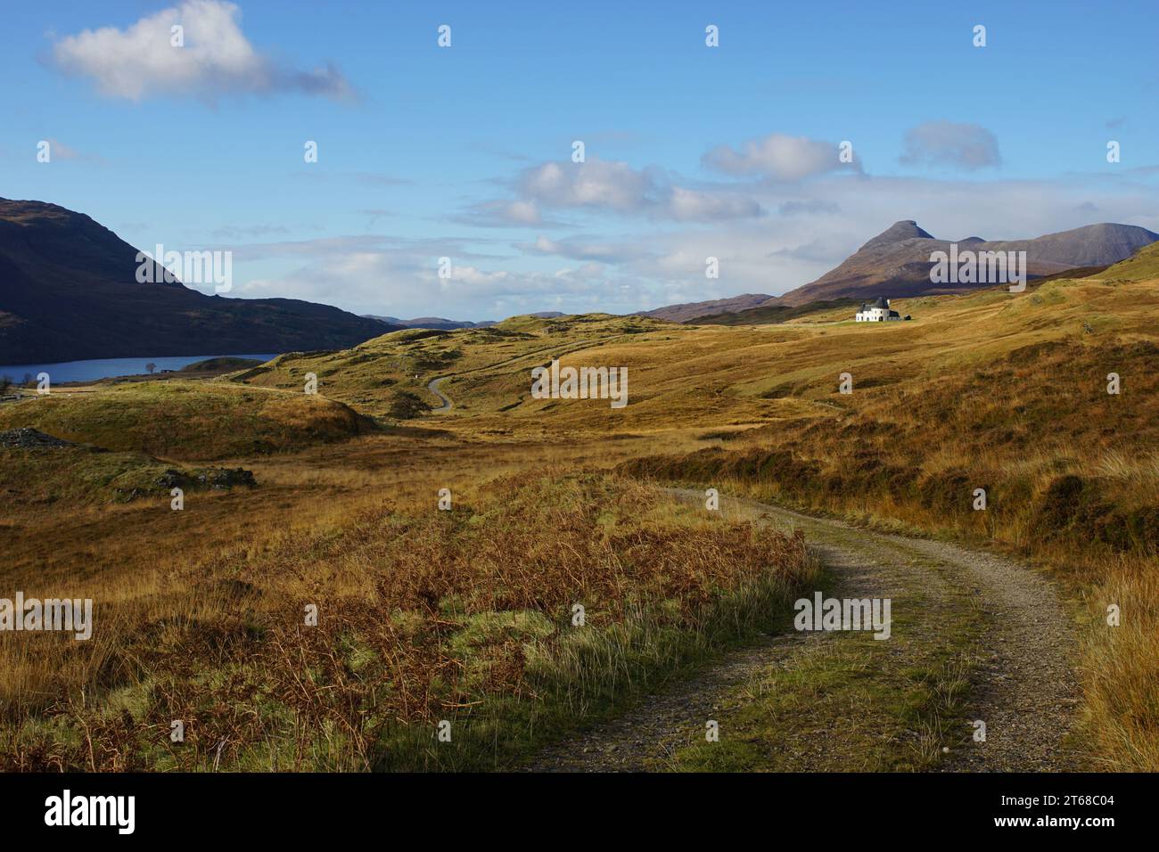 The Inchnadamph Estate, Loch Assynt, Sutherland, North West Scotland, Regno Unito con Glas Bheinn (776 m) dietro. Foto Stock
