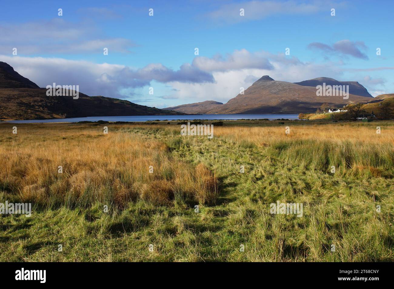 The Inchnadamph Estate, Loch Assynt, Sutherland, North West Scotland, Regno Unito con Glas Bheinn (776 m) dietro. Foto Stock
