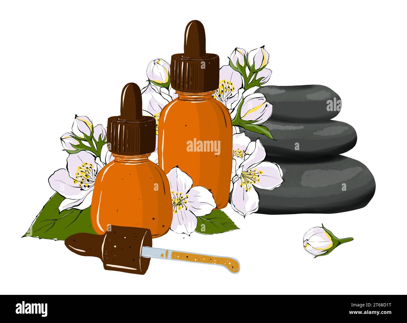 Bottiglie di vetro con olio aromatico, pietre massaggianti e fiori di gelsomino. Aromaterapia per spa e salone benessere. Illustrazione disegnata a mano isolata su di esso Foto Stock
