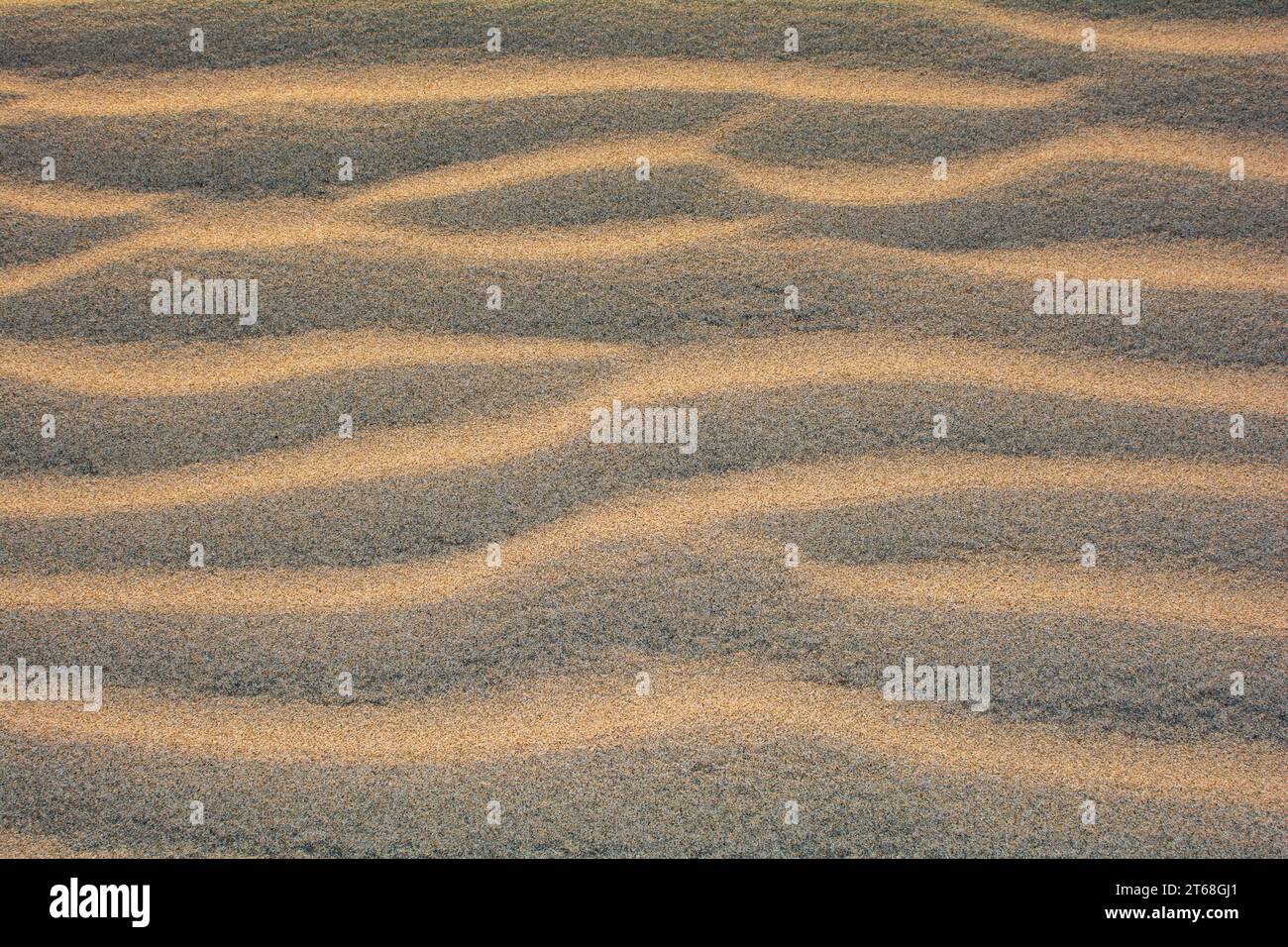 Paesaggio con disegno di sabbia Foto Stock