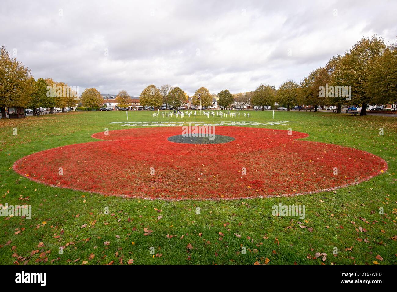 Wooburn Green, Regno Unito. 9 novembre 2023. Questo fine settimana, a Wooburn Green, nel Buckinghamshire, è stato dipinto un bellissimo e enorme cifrario di papavero, con le parole Wooburn Green che ricorderemo. Ci sono volute tre ore per completarlo, il papavero di 3 metri è stato progettato e dipinto dal giardiniere locale e dal direttore dei contratti della Groundtel, Danny Perkins. I primi Wooburn Scouts hanno anche collocato 146 croci commemorative accanto al papavero in memoria degli abitanti locali che morirono durante la prima e la seconda guerra mondiale. Credito: Maureen McLean/Alamy Live News Foto Stock