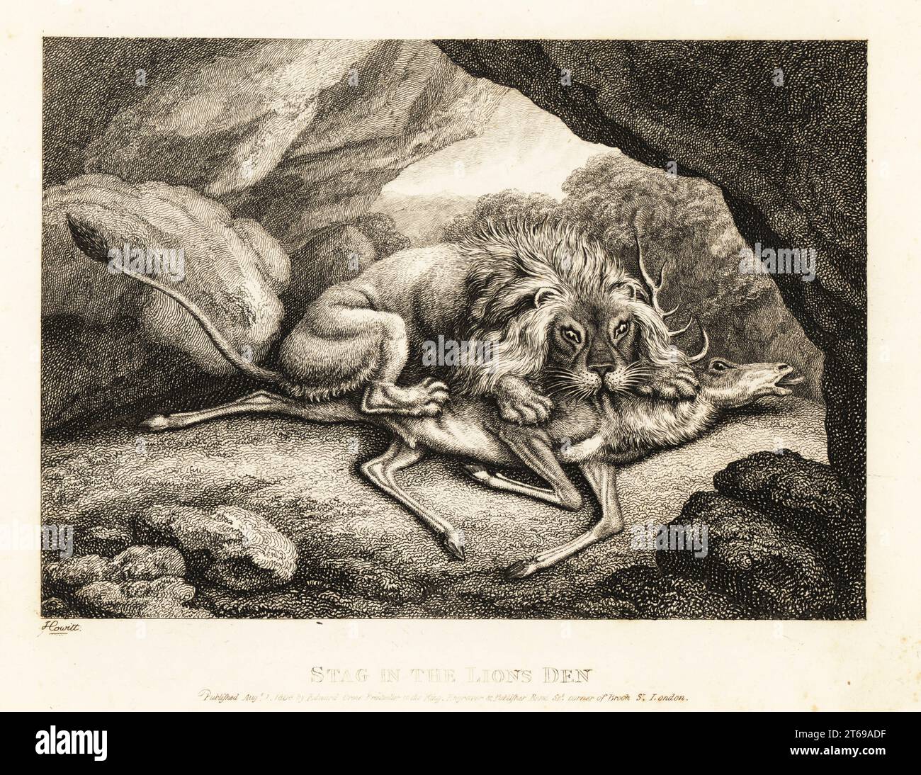 Un leone che mangia la carcassa di un bavaglio in una grotta. Una volpe astuta l'aveva scagliata nella fossa del leone. Spavagare nella fossa del leone. Il leone, la volpe e lo stag. Illustrazione di una favola dell'autore greco Aesop. Incisione copperplate disegnata ed incisa dalla vita da Samuel Howitt dal suo proprio Una nuova opera di animali, principalmente disegnata dalle Favole di Aesop, Gay and Phaedrus, Edward Orme, Londra, 1811. Foto Stock