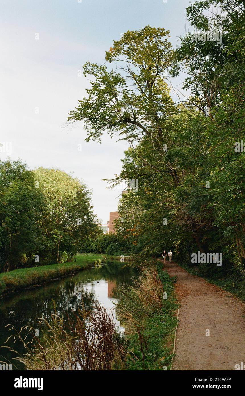Il percorso del New River vicino a Manor House, a nord di Londra, Regno Unito, all'inizio dell'autunno Foto Stock