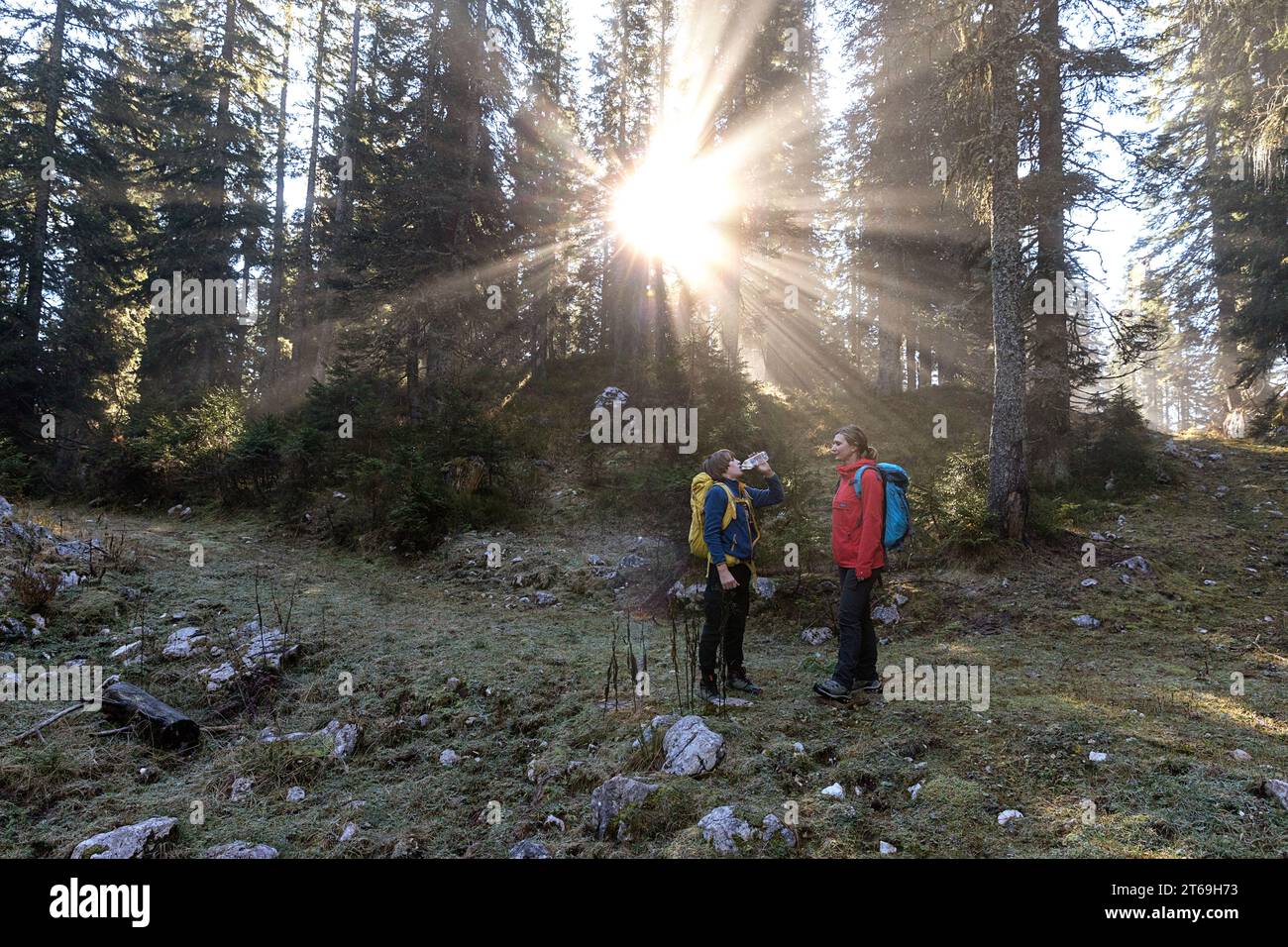 Madre e figlio, turisti, escursionisti che bevono un drink mentre fanno un'escursione sull'altopiano di pokljuka nelle alpi giulie nel parco nazionale del triglav in slovenia Foto Stock