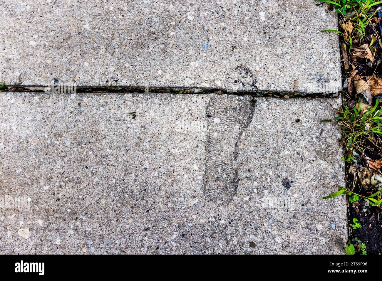Impronta immortalata nel cemento solidificato nel quartiere Pullman di Chicago, Illinois, Stati Uniti Foto Stock