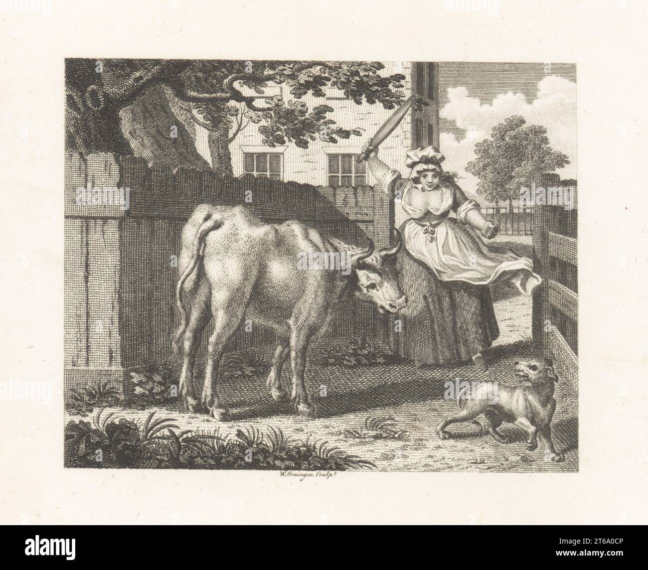 La cameriera, la Turnspit e l'Ox. Nan la cameriera minaccia un cane turnspit in un cortile. Un toro lo rimprovera dicendo che il destino di una mucca è peggiore. Incisione su copperplate di William Grainger dopo un'illustrazione di Hubert Francois Bourguignon Gravelot di Fables di John Gay, con una vita dell'autore, John Stockdale, Londra, 1793. Foto Stock