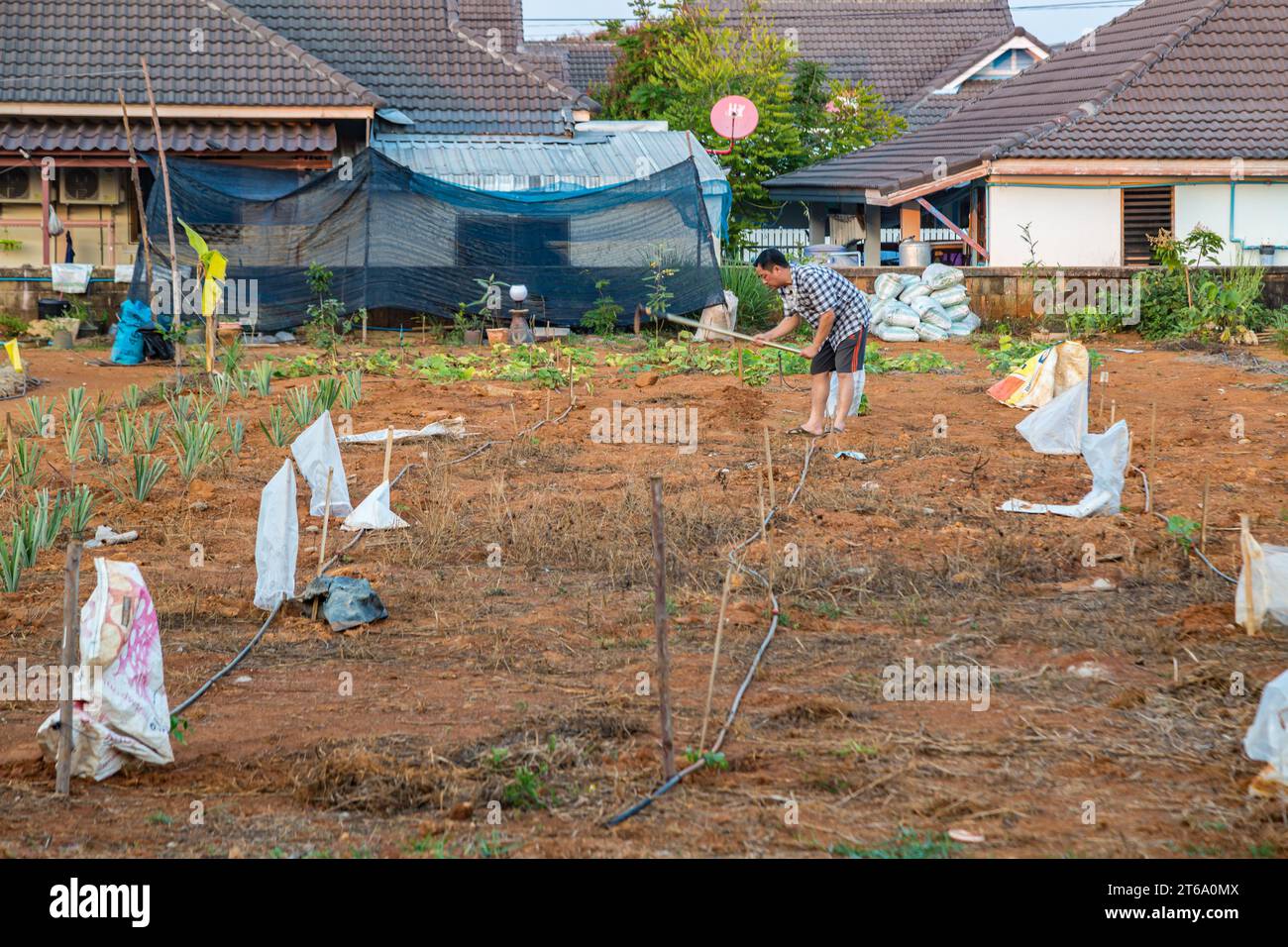 Uomo thailandese che prepara terreno per piantare la sua piccola fattoria in una zona residenziale di Chiang Rai, Thailandia Foto Stock