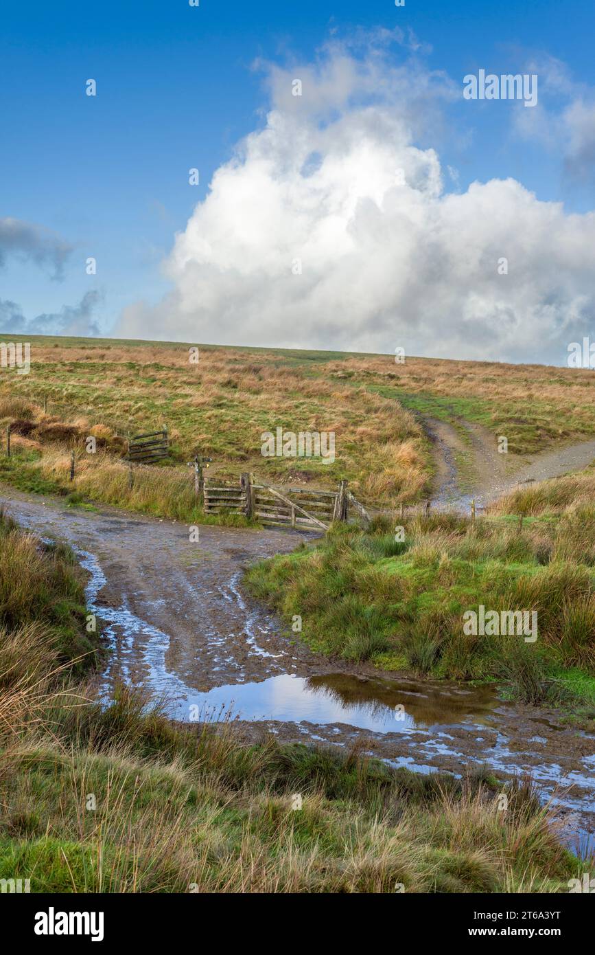 Il guado alla testa del fiume exe sulla Macmillan Way West sulle catene nel Parco Nazionale Exmoor, Somerset, Inghilterra. Foto Stock
