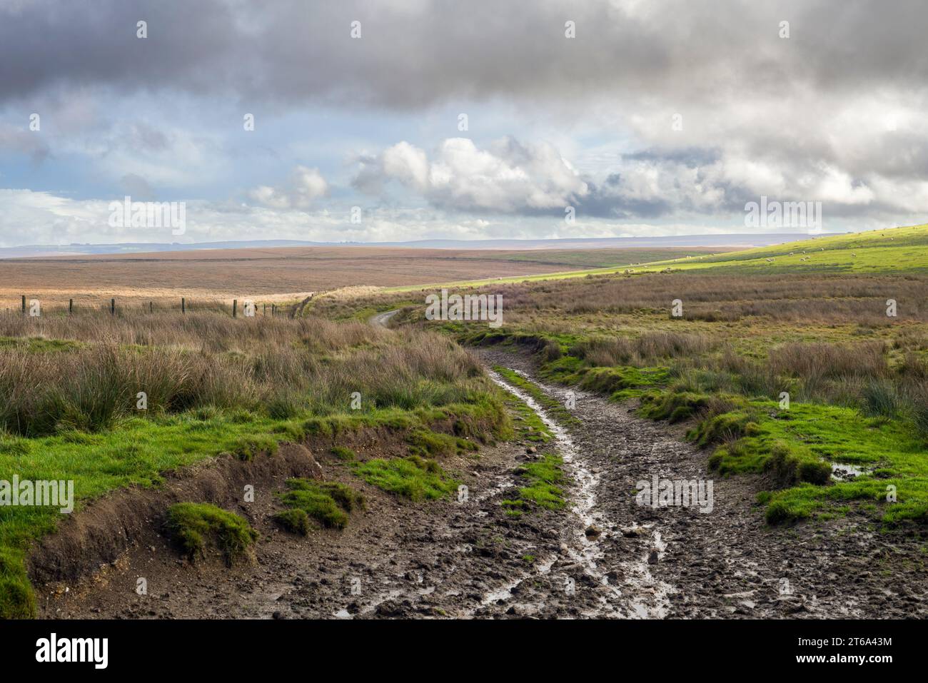 Il Macmillan Way West e il Tarka Trail sulle catene vicino a exe Head nel Parco Nazionale Exmoor, Somerset, Inghilterra. Foto Stock