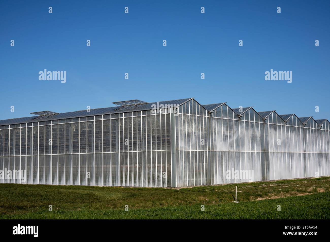 Cielo azzurro sopra le serre nei pressi del villaggio di Zandeweer a Groningen nei Paesi Bassi. Foto Stock