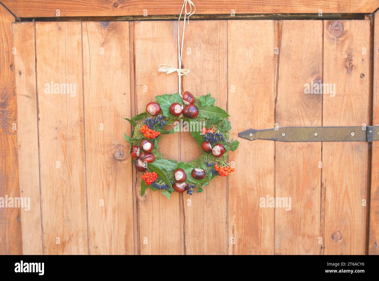 Corona Di Forsizia Arancione Autunnale 56 Cm - Ghirlanda Floreale Per Porta D'Ingresso, Interni Ed Esterni - Decorazione Rustica Fatta A Mano