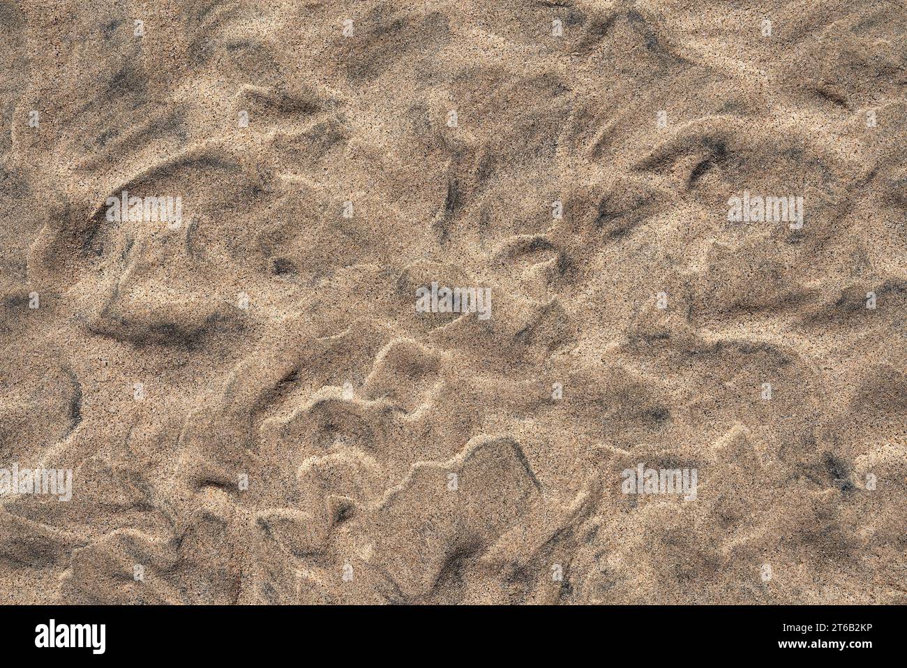Segni di ondulazione astratti in primo piano, sabbia sulla spiaggia con la bassa marea a Fuerteventura Foto Stock