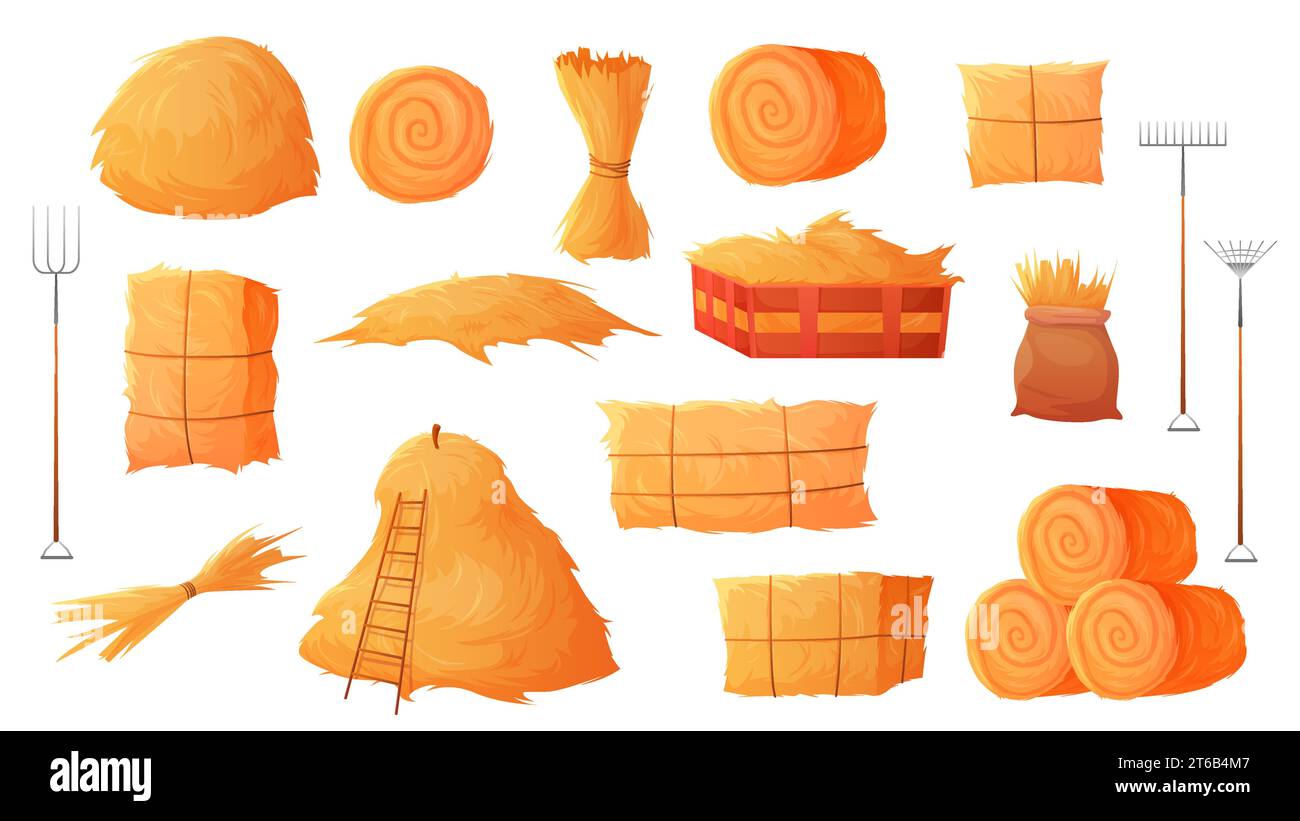 Le balle di fieno e gli stalli di fieno impostano l'illustrazione vettoriale. Cartone animato isolato paglia di grano e mucchio di erba secca dal campo agricolo, rotoli di silo d'oro e cassa quadrata in legno, scaletta al fienile e forcelle Illustrazione Vettoriale