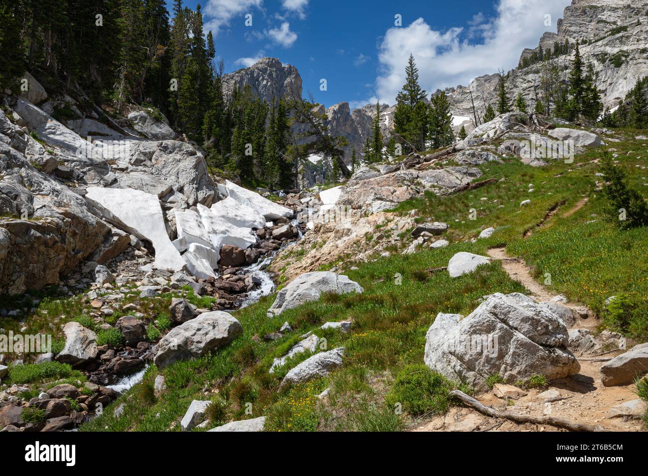 WY05760-00...WYOMING - Hanging Canyon Trail che si snoda attraverso un prato sotto il lago Ramshead nel Grand Teton National Park. Foto Stock