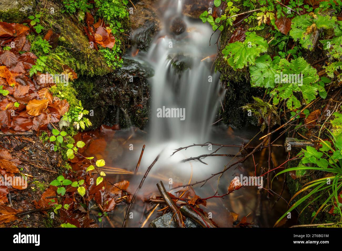 Piccolo torrente dalla collina vicino alla cascata di Ponikly dopo la pioggia notturna in autunno Foto Stock