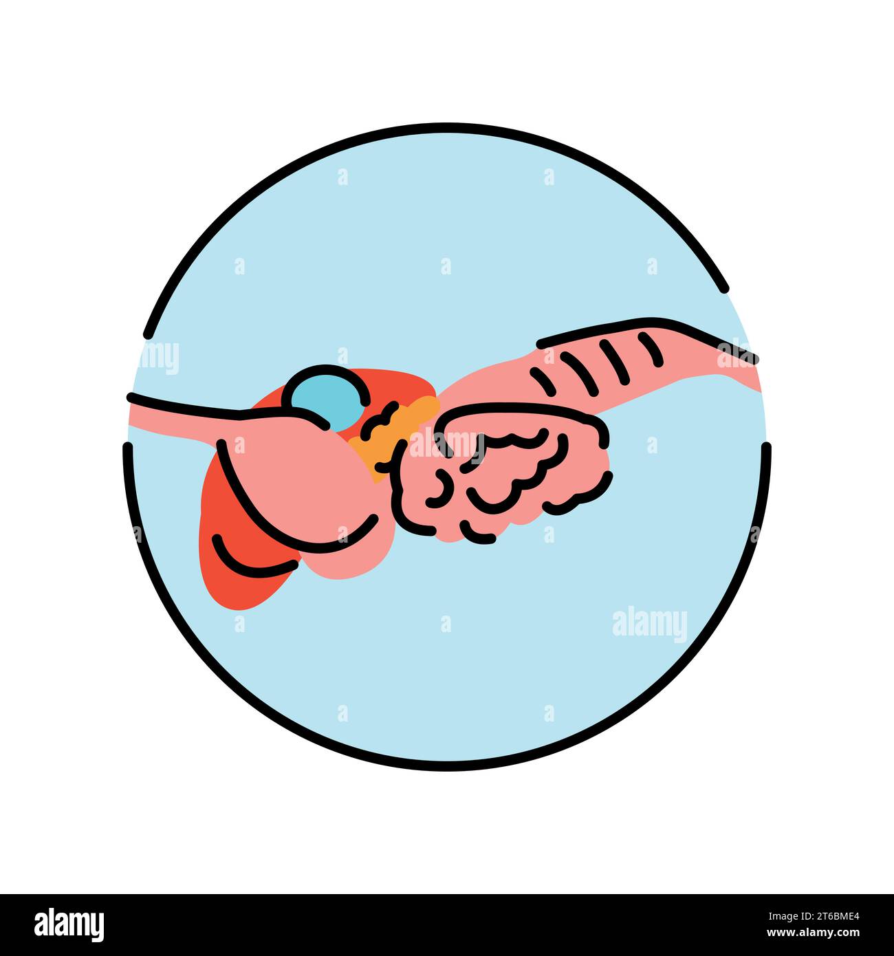 Icona della linea di colore dell'anatomia dell'organo del cane. Organizzazione nell'organismo. Elemento isolato vettore. Tratto modificabile. Illustrazione Vettoriale