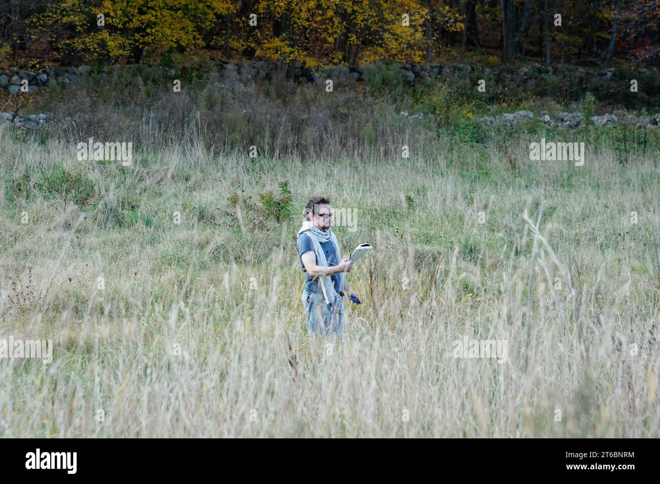 Ottobre 2023 Battle Road - Lincoln, Massachusetts. Un artista si trova da solo in un campo che disegna la storica casa di William Smith con il suo libro in fro Foto Stock