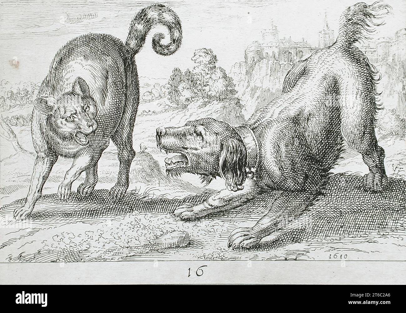 Un cane che combatte un gatto, 1610. Dagli animali da battaglia, PL. 16. Foto Stock