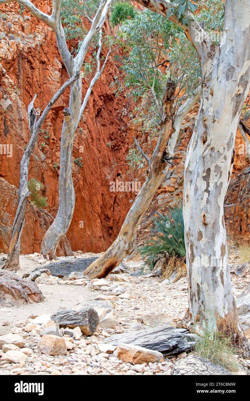 Standley Chasm Foto Stock