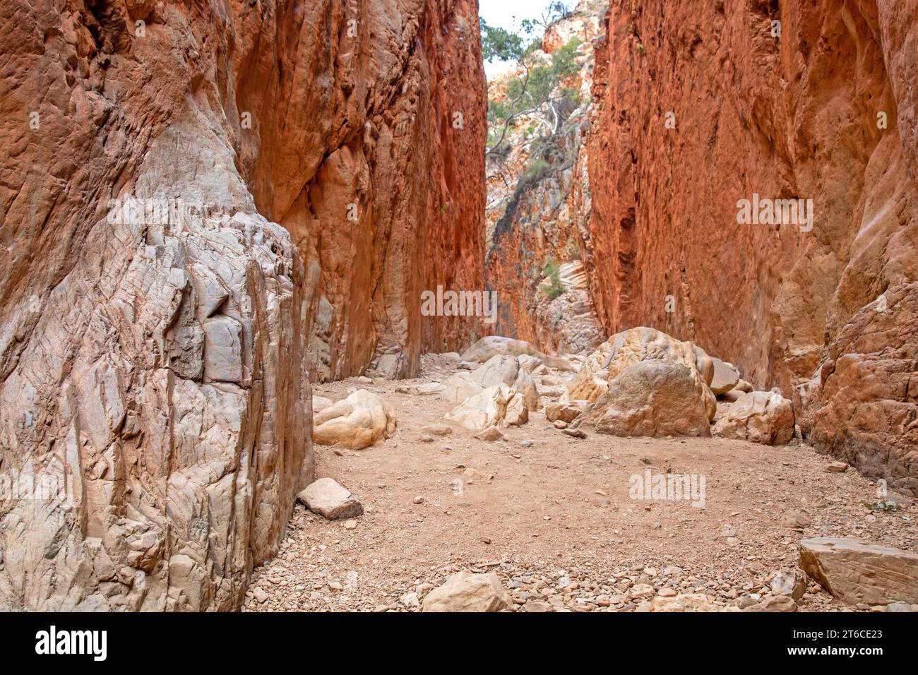 Standley Chasm Foto Stock