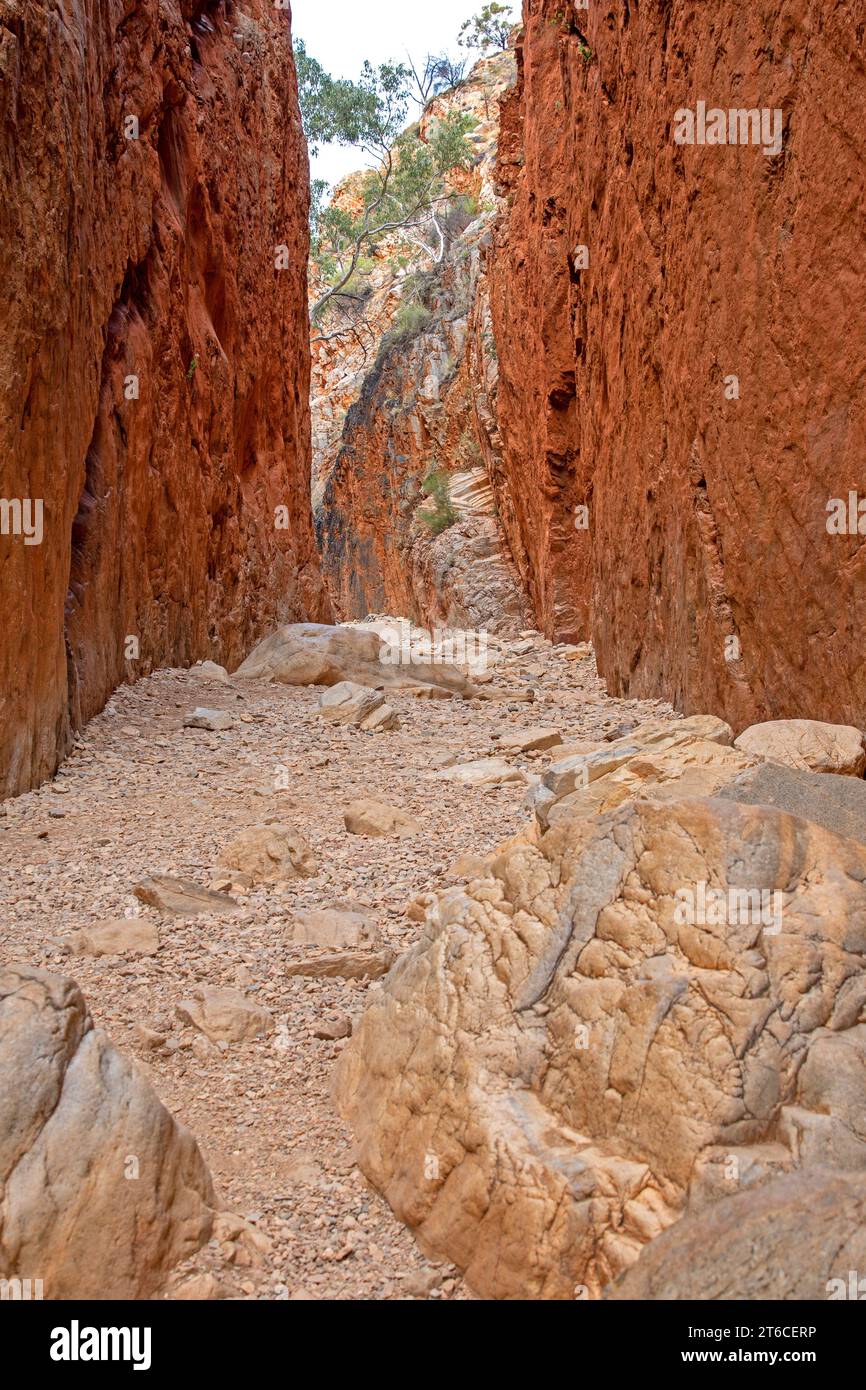 Standley Chasm Foto Stock