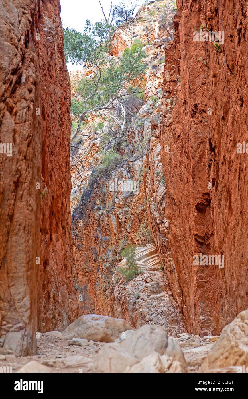 Standley Chasm Foto Stock