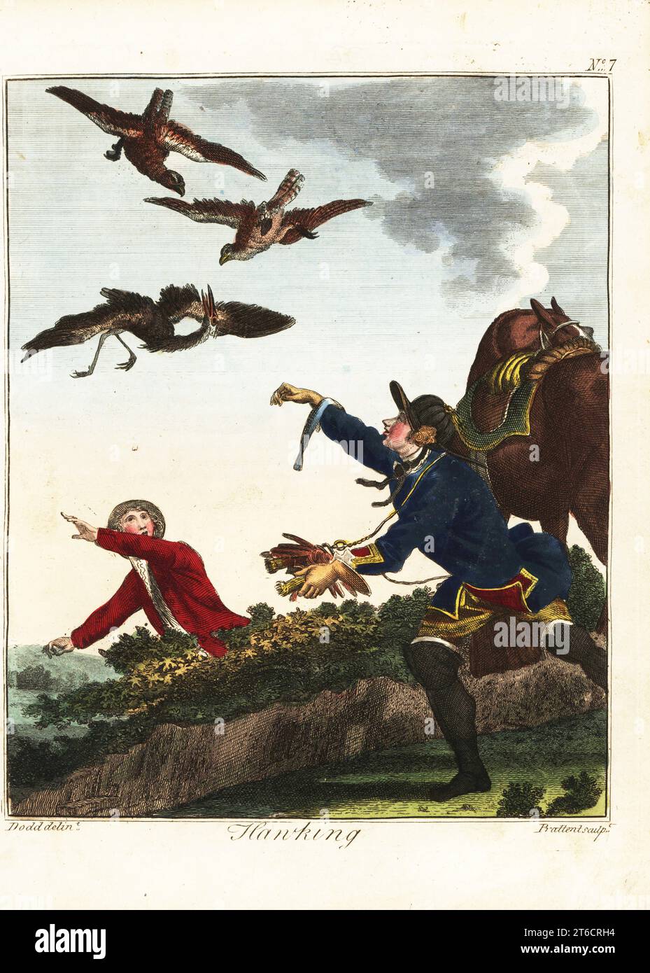 Hawking per airone, XVIII secolo. Un cacciatore rilascia due gyrfalcon, per cacciare un airone in aria. Incisione su copperplate a mano di Thomas Prattent dopo un'illustrazione di Daniel Dodd da William Augustus Osbaldistons The British Sportsman, or Nobleman, Gentleman and Farmers Dictionary of Recreation and Amusement, J. Stead, Londra, 1792. Foto Stock