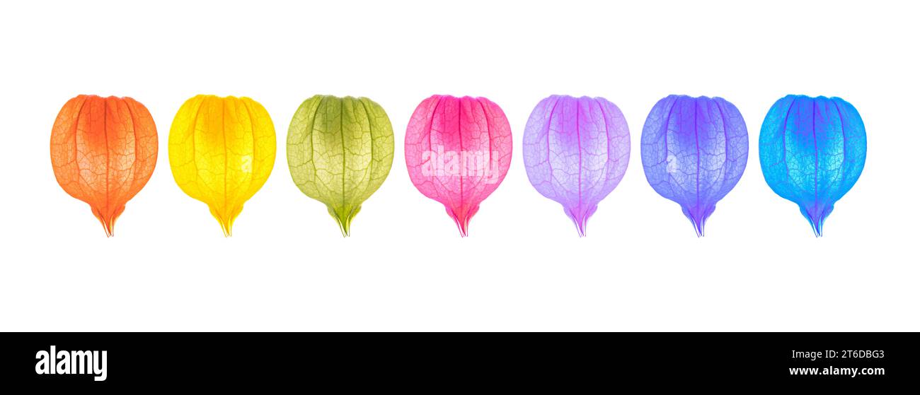 Lanterne cinesi di colori diversi su sfondo bianco Foto Stock