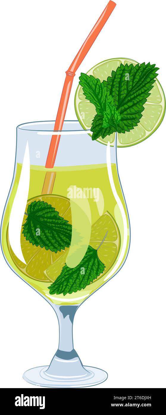 Illustrazione a colori del bicchiere da cocktail con bevanda mojito. Illustrazione vettoriale del mojito con fetta di lime, menta e paglia. Illustrazione Vettoriale
