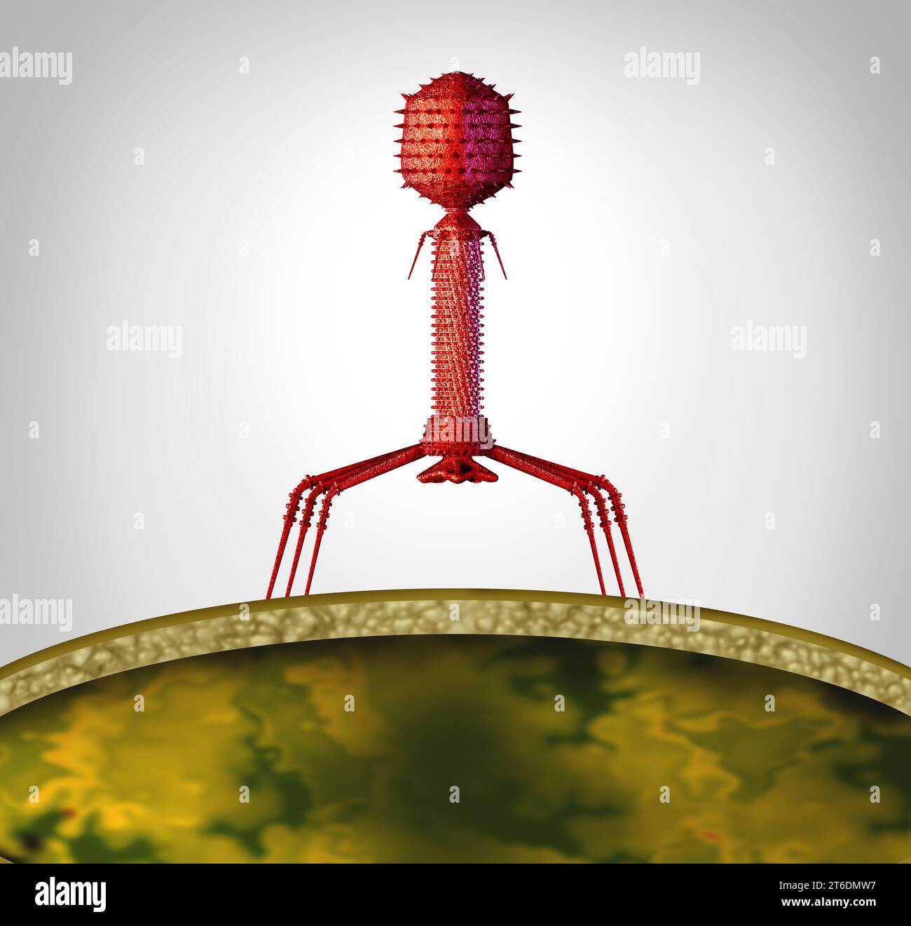 Phage Concept e batteriofage virus patogeno come un virus con acido nucleico che infetta batteri come simbolo virologico come un patogeno che attacca Foto Stock