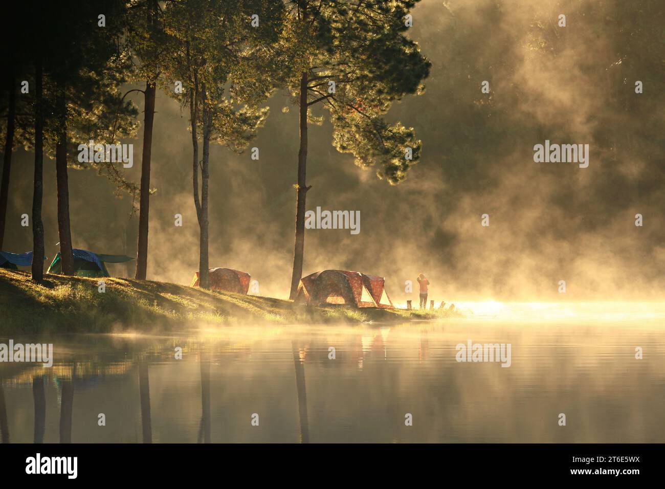 Breath of Pang Oung o Pang Tong Royal Project al mattino presto a Mae Hong Son, Thailandia Foto Stock