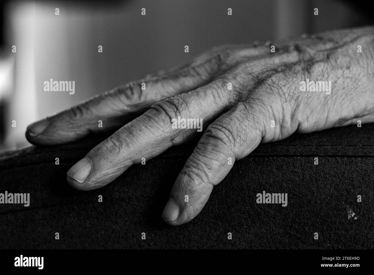 primo piano di una mano di un vecchio, foto in bianco e nero Foto Stock