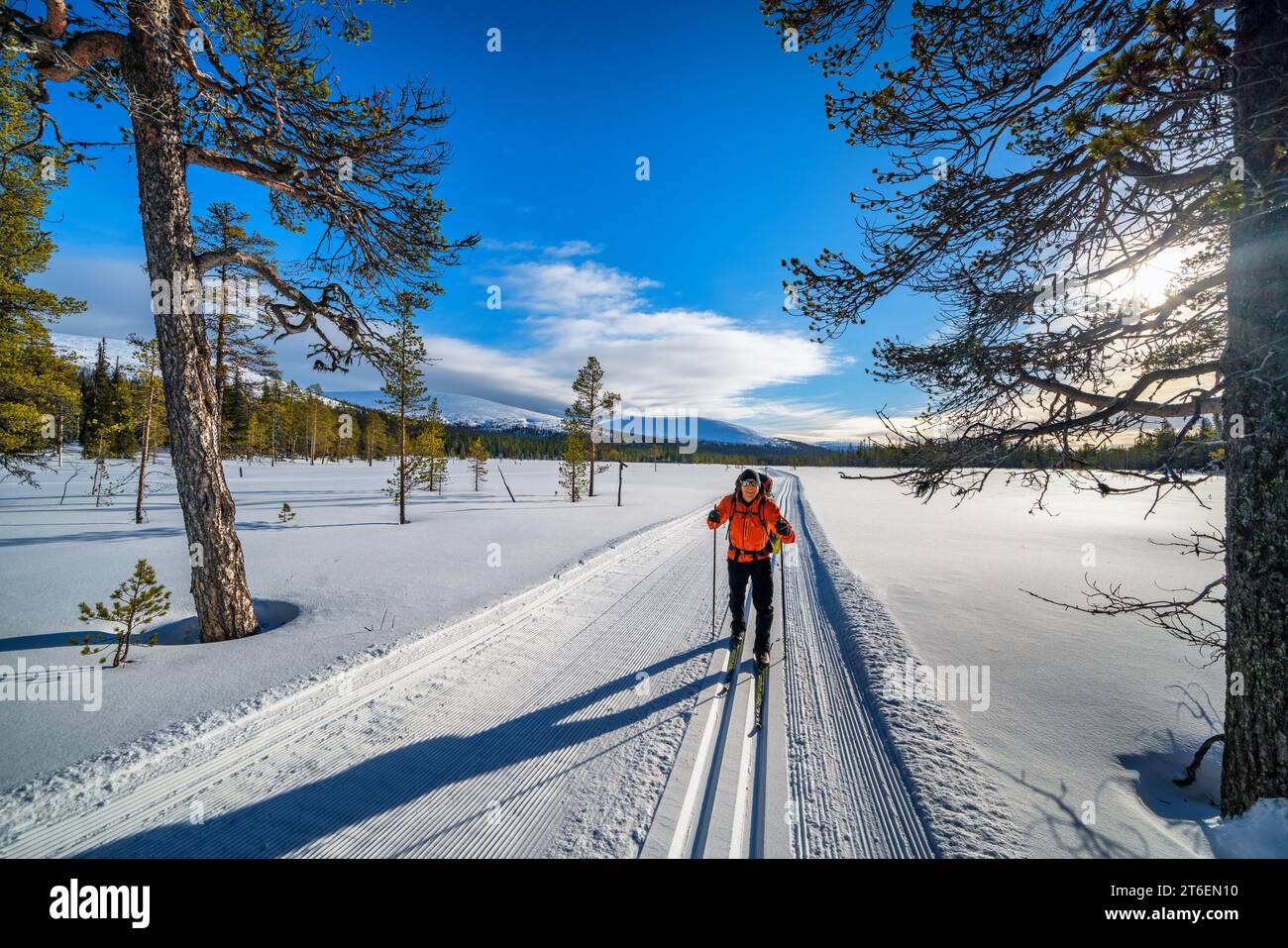 Sci alpinismo nei pressi di Pallastunturi Fell, Muonio, Lapponia, Finlandia Foto Stock